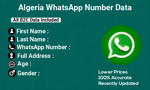 Algeria WhatsApp Number Data
