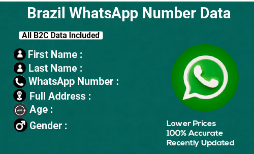 Brazil WhatsApp Number Data