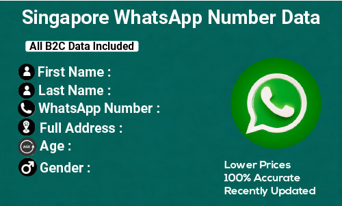 Singapore WhatsApp Number Data